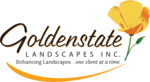 Goldenstate Retina Logo
